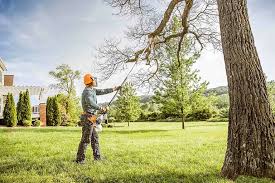 Best Hazardous Tree Removal  in Lockwood, MO