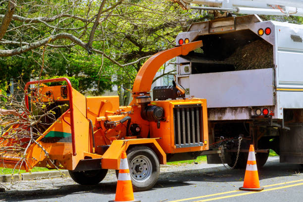 Mulching Services in Lockwood, MO